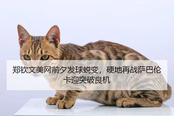 郑钦文美网前夕发球蜕变，硬地再战萨巴伦卡迎突破良机
