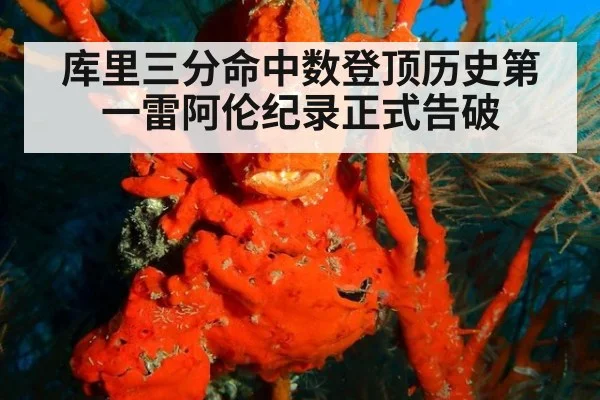 库里三分命中数登顶历史第一雷阿伦纪录正式告破