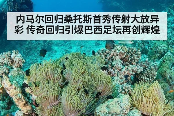 内马尔回归桑托斯首秀传射大放异彩 传奇回归引爆巴西足坛再创辉煌