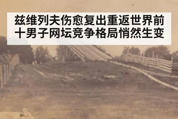 兹维列夫伤愈复出重返世界前十男子网坛竞争格局悄然生变