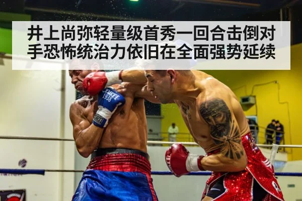 井上尚弥轻量级首秀一回合击倒对手恐怖统治力依旧在全面强势延续