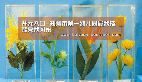 开元入口